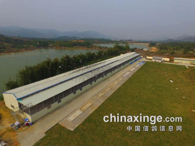广东永环宇公棚决赛一触即发